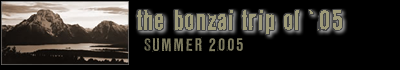 bonzai