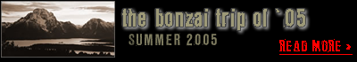 bonzai